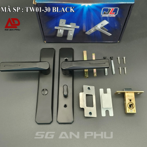 Khoá tay gạt JEELY TW01-30