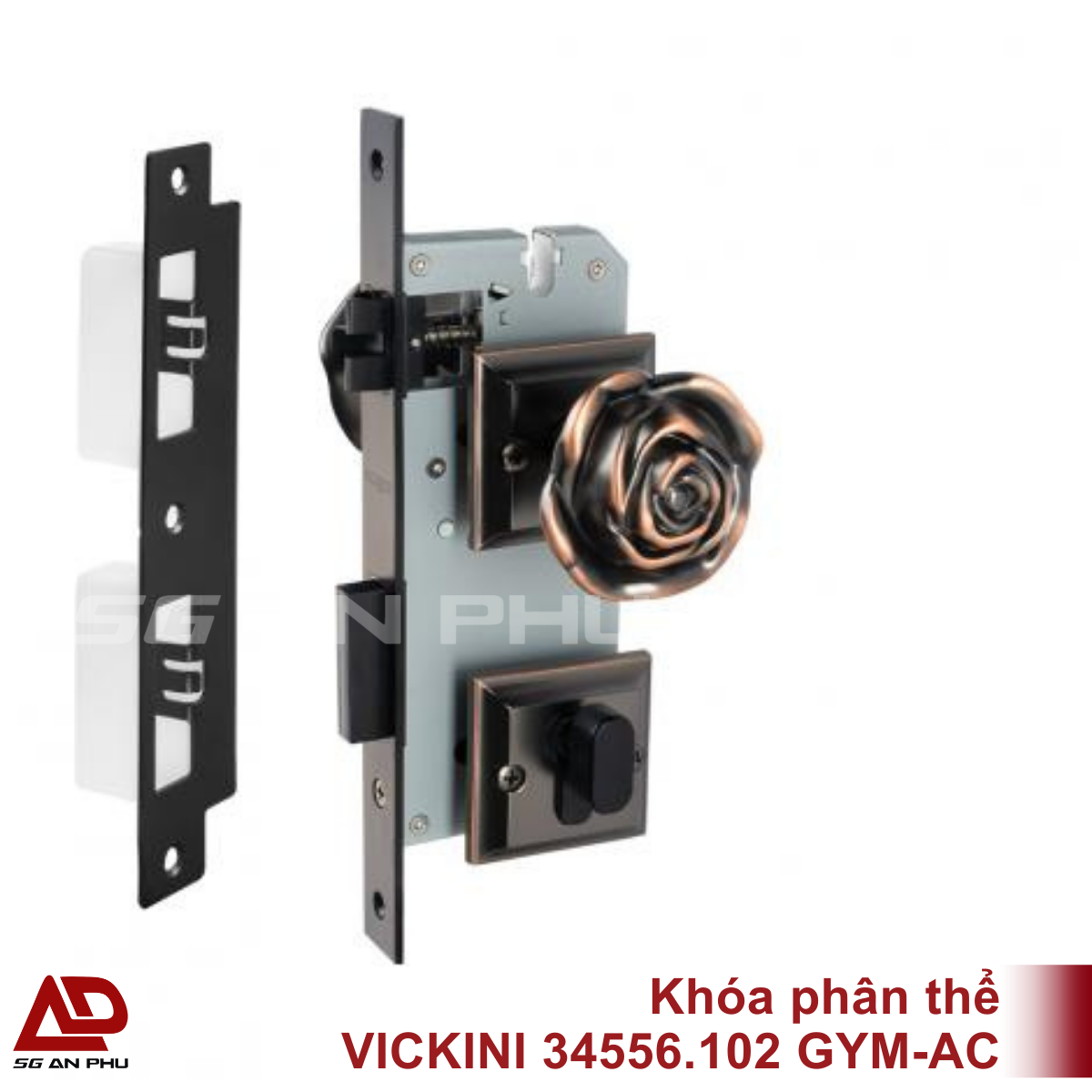 470_crop_34556.101_GYM-AC 470_crop_34556.101_GYM-AC-600x600