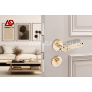 Khóa cửa phân thể VICKINI 34555.101 K18