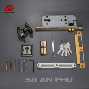 Khóa cửa phân thể VICKINI 34556.102 GYM-AC