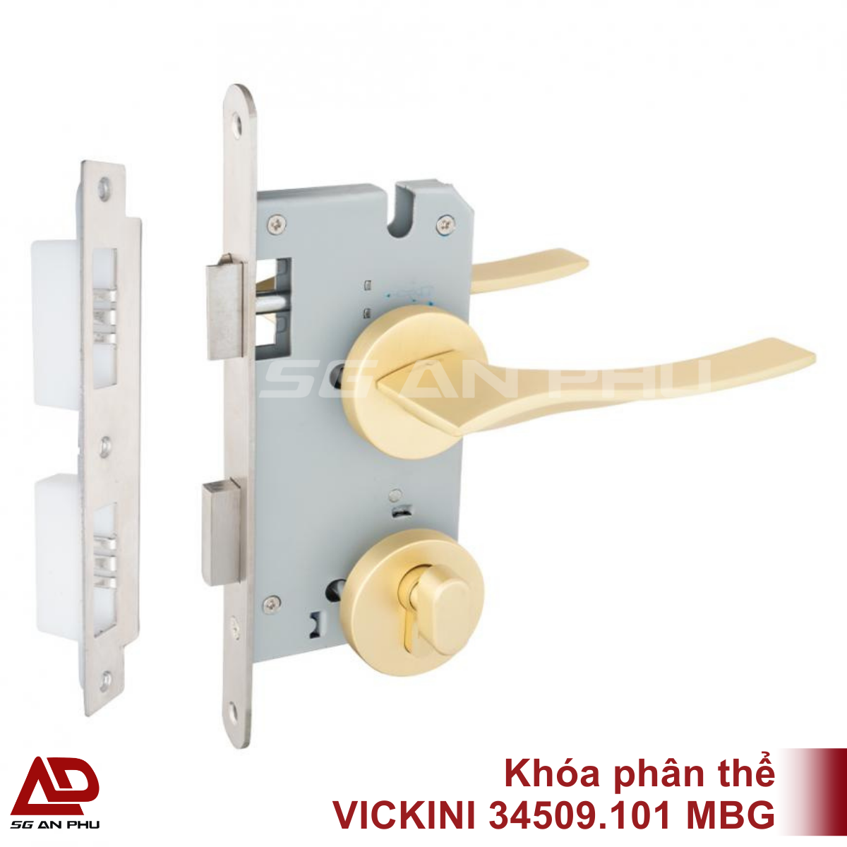 870_crop_34509.101_MBG 870_crop_34509.101_MBG-600x600