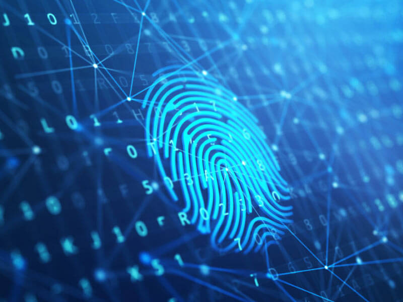 Nguyên nhân từ phần mềm: Lỗi bo mạch hoặc xung đột chương trình