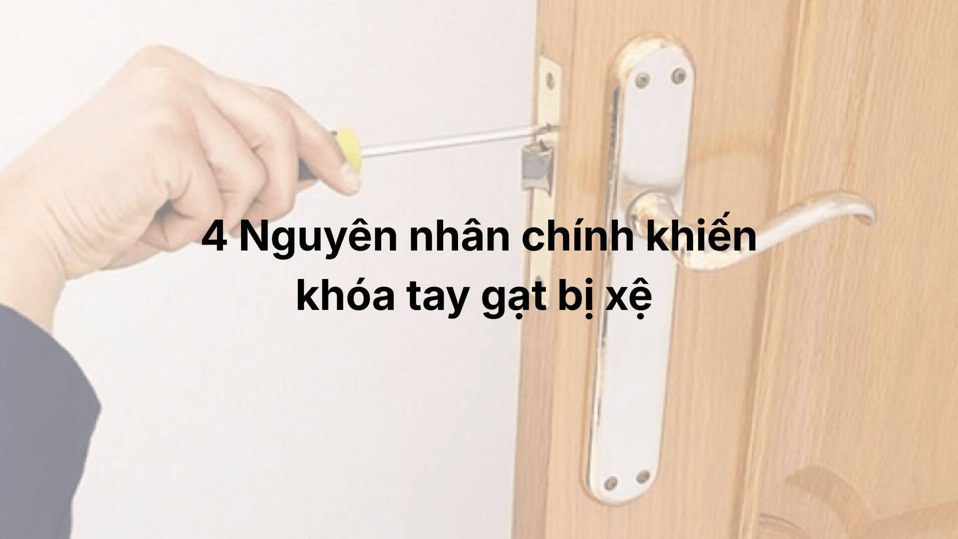 khoa-tay-gat-bi-xe-2