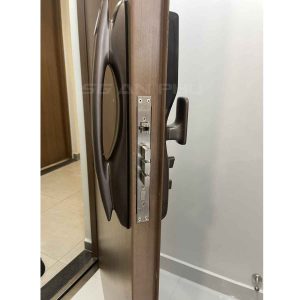 Khóa nhận diện khuôn mặt SL920 PB