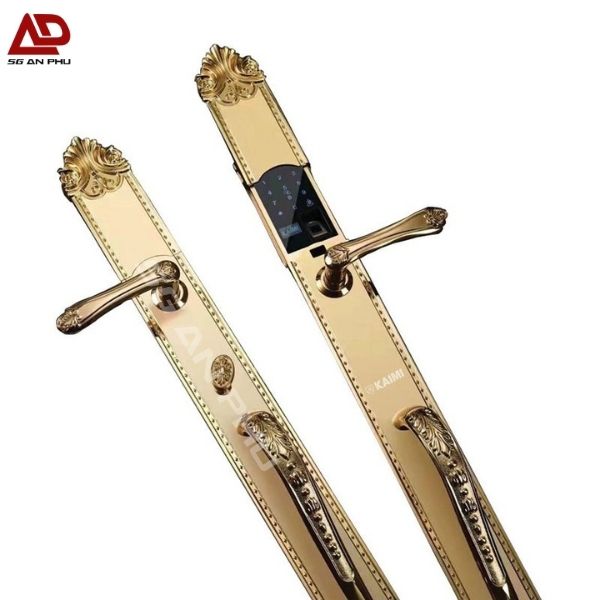  Khóa Thông Minh Đại Sảnh Tân Cổ Điển DS103