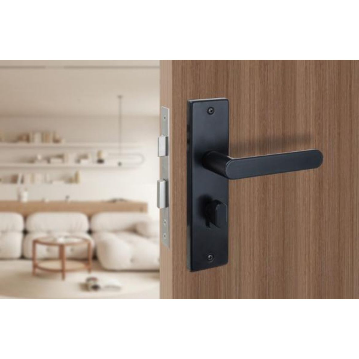 Khóa cửa nẹp VICKINI 32039.001 OBP
