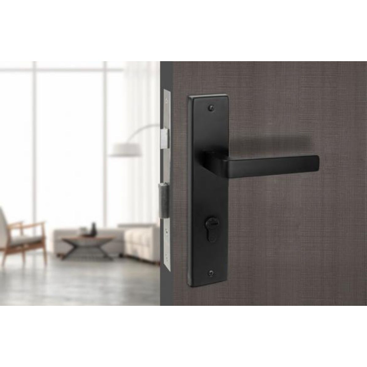 Khóa cửa nẹp VICKINI 33038.002 OBP - Ảnh 2
