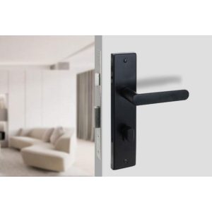 Khóa cửa nẹp VICKINI 33039.001 OBP