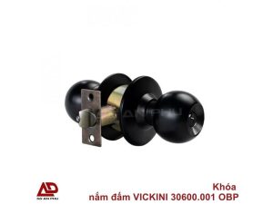 Trước khi bắt tay vào xử lý, việc nhận biết chính xác các dấu hiệu rỉ sét là bước đầu tiên và quan trọng. Đôi khi, vấn đề không chỉ nằm ở vẻ ngoài mà còn ảnh hưởng trực tiếp đến chức năng của khóa. Bạn có để ý thấy những thay đổi này trên chiếc khóa cửa nhà mình không?