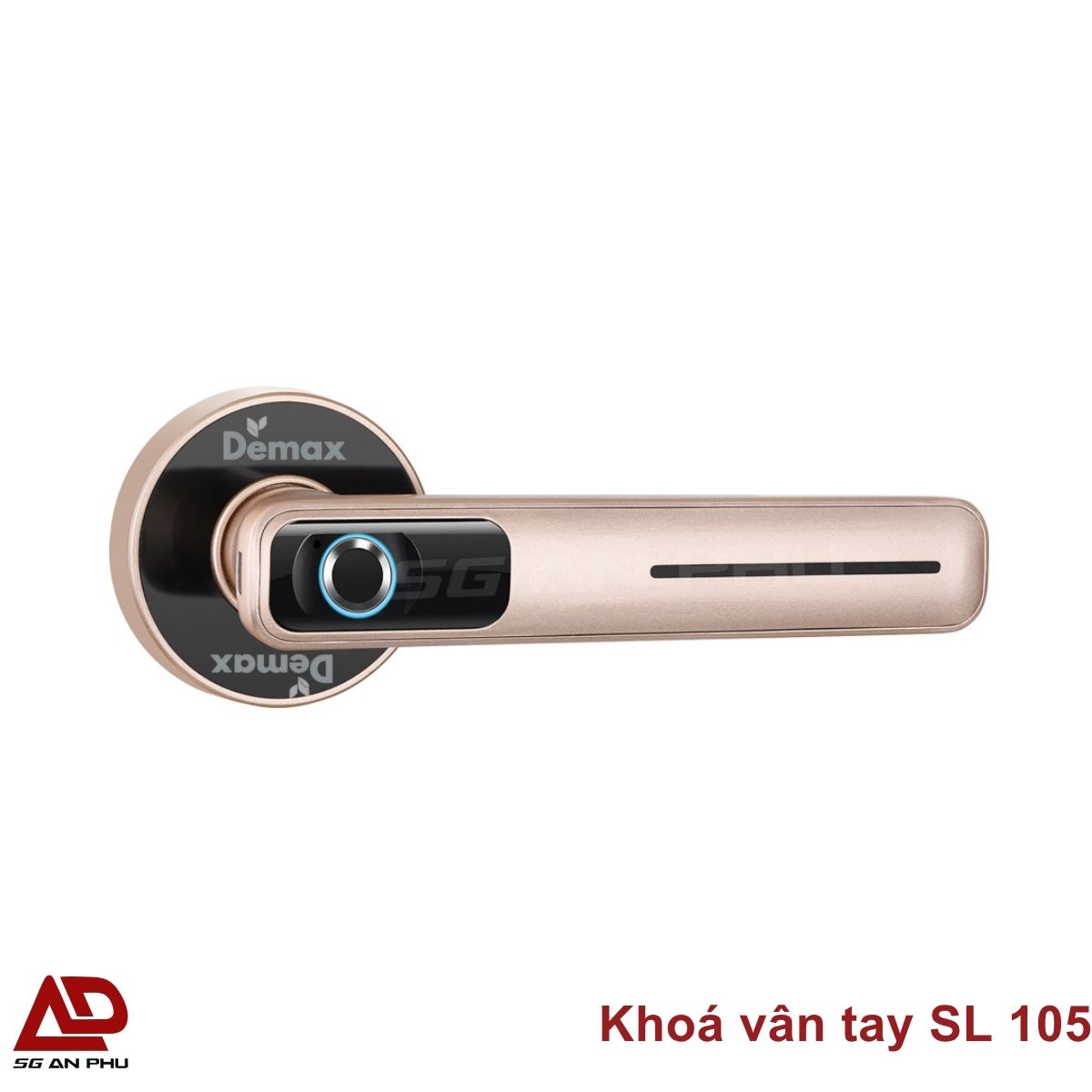 Giải đáp: Khóa vân tay lưu trữ được bao nhiêu vân tay?